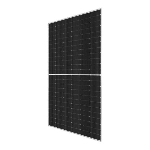 Pin Longi 545 Bificial